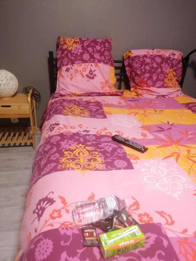 Chambre 23M2 Avec Jardin Wi-Fi Gratuit Saint-Girons Apartment Exterior photo